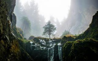 Картинка водопад, каскад, мох, лес, скалы, расслабляющий, прекрасная, природа