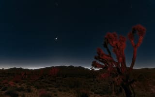 Картинка ночь, пустыня мохаве, звезды, пейзажи