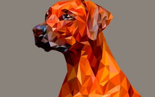 Картинка собака, полигона, собаки, аспекты, художник