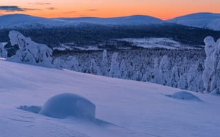 Картинка Лапландия, зима, снег, сугробы, деревья, закат, пейзаж