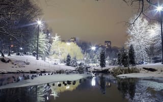 Картинка город, парк, снег, деревья, зима, огни, бесплатные