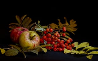 Картинка ягоды, яблоки, черный, фрукты, еда