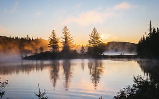 Картинка озеро, отражение, туман, природа, фотографии, утро, деревья, пейзажи