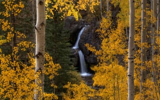 Картинка Осенний водопад в Аспен Форест
