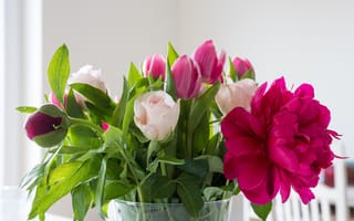 Картинка растение, цветок, срезанные цветы, букет цветов, розовый, лепесток, цветы, пион, близко, тюльпан, флористика, организация цветов, тюльпаны, красочный, наземное растение, розы, цветущее растение, букет, бесплатные фотографии