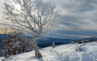 Картинка мороз, дерево, горы, пейзажи, бесплатные, зима, снег