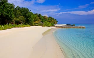 Картинка залив, экзотические, рельеф местности, песок, остров, пейзажи, берег, рай, синий, отпуск, мыс, побережье, карибский бассейн, Мальдивы, бесплатные, море, пляж, тропический пляж, океан, водоём, 