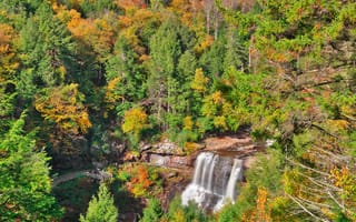 Картинка водопад, деревья, природа, лес, осень