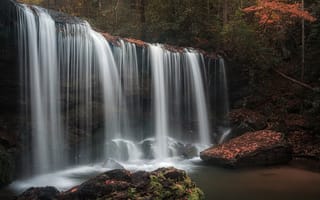 Картинка водопад, лес, брызги, вода, природа, бесплатные изображения