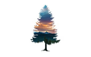 Картинка деревья, елка, силуэт, бесплатные фотографии, природа, рендеринг