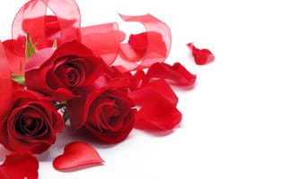 Картинка красные розы, букет, лепестки, бесплатные изображения, цветы