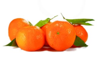 Обои растение, фрукты, еда, вкусные, цитрусовые, оранжевый, клементин, продукт, апельсины, цитрусовый фрукт, питание, овощ, фруктовый, витамины, бесплатные изображения, мандарин, мандариновый апельсин, здорового, наземное растение, клементины, цветущее растение, тангело, горький апельсин, мандарины, листья