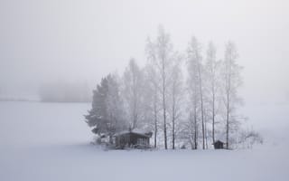 Картинка пейзаж, дерево, замораживание, белый, зима, деревья, холодный, снежная буря, туман, поле, снег, атмосферное явление, погода, зимняя буря, кабина, Финляндия, сезон, пейзажи