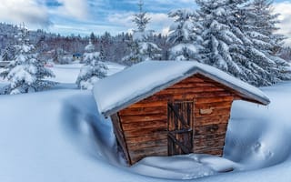 Картинка сарай, снег, бесплатные изображения, домик, природа, деревья