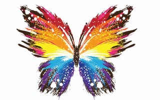 Картинка красочный, иллюстрация, мультфильмы, произведение искусства, цветок, мотыльки и бабочки, белый, насекомые, крыло, бабочка, насекомое, брызги краски, лепесток