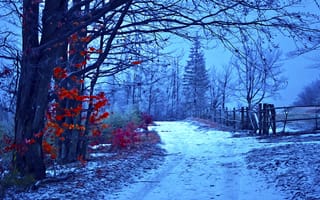 Картинка снег, живописный, настроение, произведение искусства, пейзажи, деревья, зима