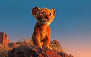 Картинка львенок, Симба, 16:9, HD-, -для-ПК, карие-глаза, детеныш, солнце, рабочий-стол, 4k, лапы, Саванна, 3D-модель, скала, большая-кошка, уши, эстетика, дикие-животные, валун, пушистый, 2k, пейзаж, золотой-час, анимация, градиент, Король-Лев, камень, усы