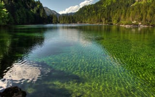 Картинка австрия, озеро, отражение, лес, природа
