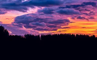 Картинка закат, облако, пейзажи, деревья, пурпурное небо, силуэт