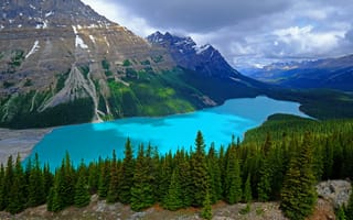 Картинка Peyto Lake, деревья, Национальный Парк Банф, Banff National Park, горы, Озеро Пейто, пейзаж, Alberta, Canada, лес, скалы, озеро