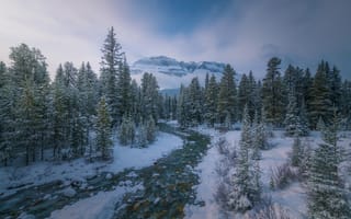 Картинка Banff National Park, деревья лес, природа, зима, пейзаж, сугробы, камни, река