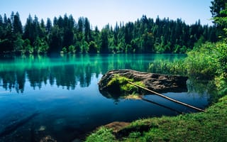 Картинка озеро, берег, остров, деревья, природа, пейзаж, лес