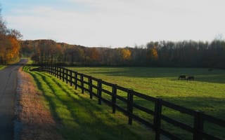 Картинка ферма, забор, осень, штат нью-йорк, пейзажи, деревья, лошади, падение