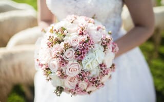 Картинка цветок, растение, цветы, свадебные, невеста, букет цветов, пион, флористика, лепесток, организация цветов, церемонии, розовый
