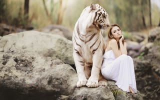 Картинка белый тигр, женщина, кошки, скалы, величественная