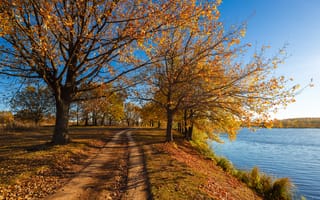 Картинка осень, пейзаж, дубы, синее, деревья, природа, небо, солнечно, озеро, дорога