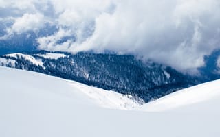 Картинка дерево, горы, альпинизм на лыжах, горнолыжный тур, сезон, хребет, Альпы, кататься на лыжах, горный хребет, горные формы рельефа, облако, трасса, рельеф местности, зимний вид спорта, лыжная экипировка, погода, пейзажи, географическая особенность, снег, зима, геологическое явление