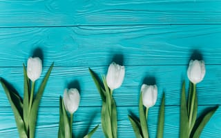 Картинка белые тюльпаны, листья, цветы, водный стол