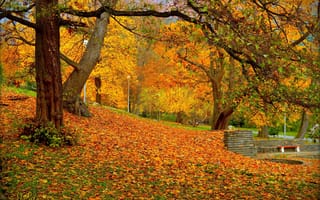 Картинка осень, парк, скамейка, пейзаж, листва, природа, падение