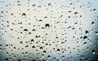 Картинка вода, природа, капли дождя, мокрая, дождь, капля воды, линия, капель, погода, жидкость, черно-белый, макро, стекло, влажная, замораживание, окно, капли, падение, стадо