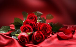 Картинка роза, букет, красивые цветы