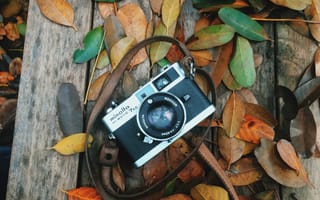 Картинка камера, осень, природа, листья, minolta, разное