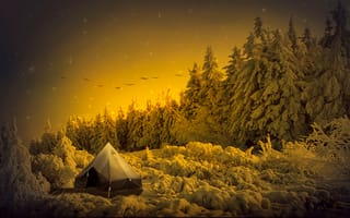 Картинка зима, лес, палатка, пейзажи, экспедиция