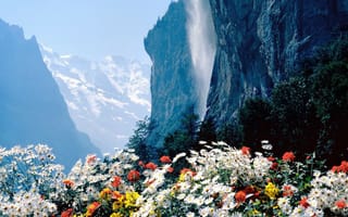 Картинка цветы, горы, природа, скала, пейзажи