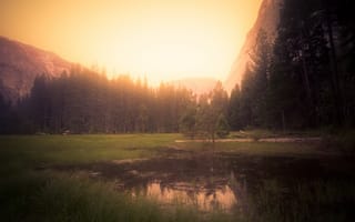 Картинка соединенные штаты америки, национальный парк Йосемити, пруд, природа, пейзажи, Калифорния, солнечный свет, деревья
