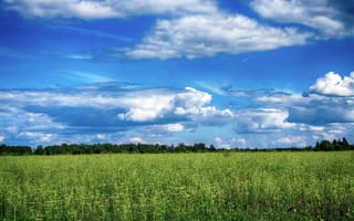 Картинка Россия, Сибирь, день, жара, небо, облака, свет, хакасия, лето, пейзажи, поля, цвет