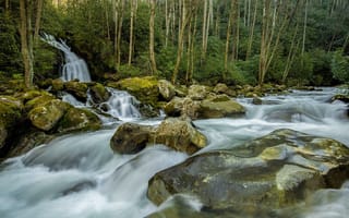 Картинка North Carolina, река, камни, водопад, деревья, Great Smoky Mountains National Park, лес, пейзаж, природа