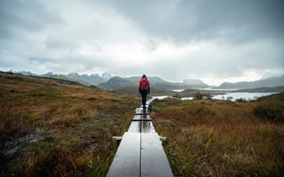 Картинка норвегия, пеший туризм, пейзажи, женщина, деревянный пол, ходить, мрачная погода, ходьба