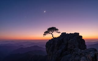 Картинка горы, скалы, синее небо, дымка, сосна, солнце за горизонтом, луна, природа, иллюстрация, изогнутый ствол, месяц, 1920х1080, туман, холмы, восход, заставка, силуэт дерева, градиент, заря, рассвет, HD, 16:9, умиротворение, горный пейзаж, пейзаж, утес