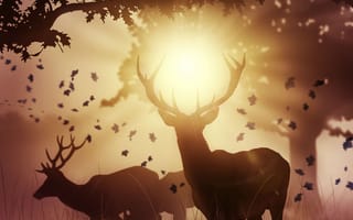 Картинка осень, солнечный свет, природа, оленьи рога, деревья, животные