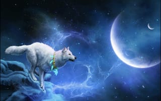 Картинка белый волк, art, 3d, планета