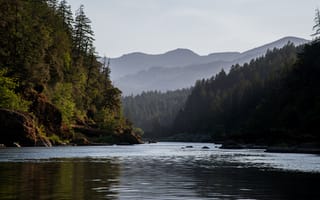Картинка река, туман, горы, лес, спокойствие, пейзажи, бесплатные фотографии