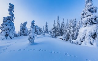 Картинка Финляндия, зима, снег, сугробы