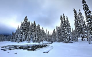 Картинка Изумрудное озеро, Канада, Британская Колумбия, Национальный парк Йохо