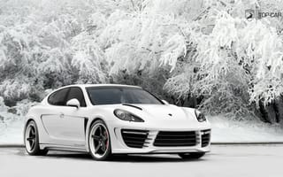 Картинка Porsche Panamera, Porsche, снег, машины