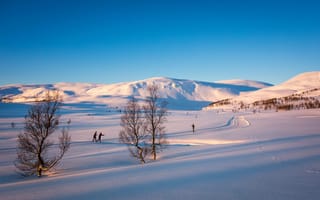 Картинка зима, поле, лыжники, холмы